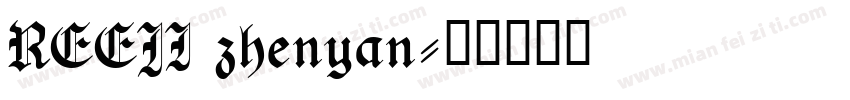 REEJI zhenyan字体转换
